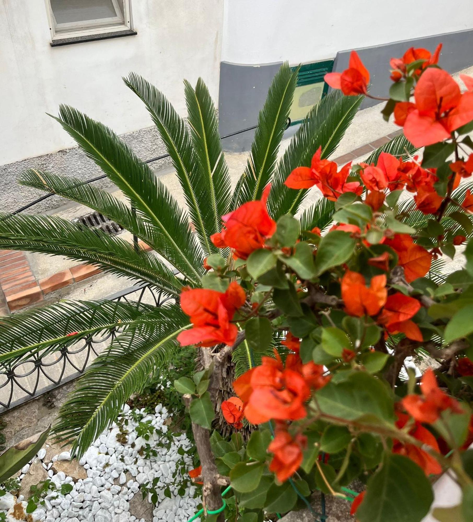 Alle Stelle B&B Anacapri  Dış mekan fotoğraf