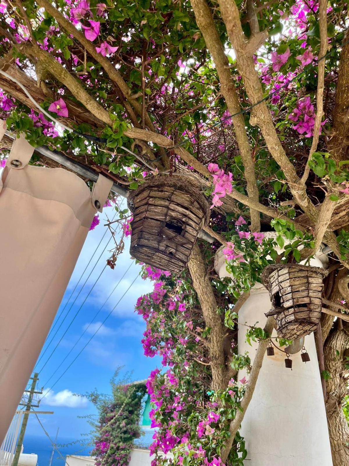 Alle Stelle B&B Anacapri  Dış mekan fotoğraf