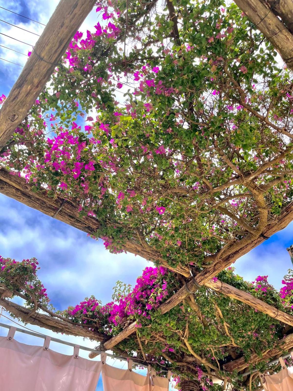 Alle Stelle B&B Anacapri  Dış mekan fotoğraf