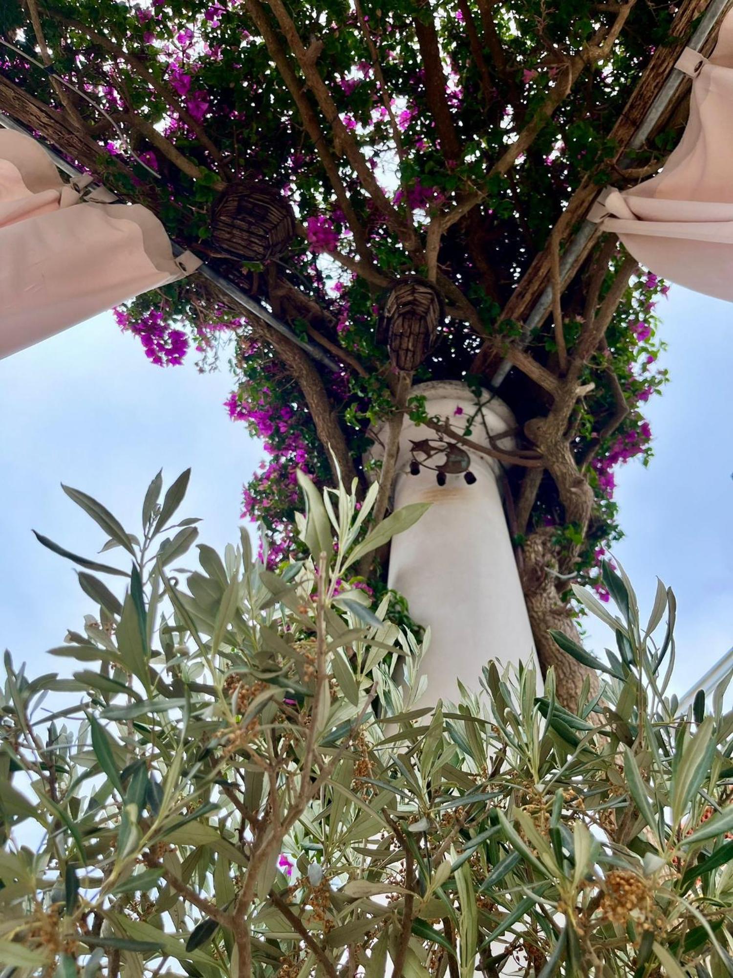 Alle Stelle B&B Anacapri  Dış mekan fotoğraf